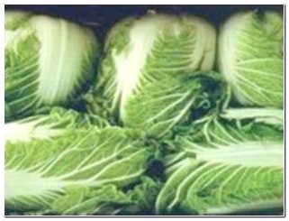 Ранняя пекинская капуста
